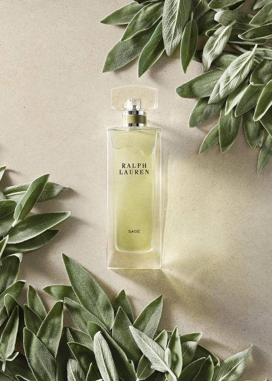 Kvinder Ralph Lauren salvie eau de parfum Z426B2724