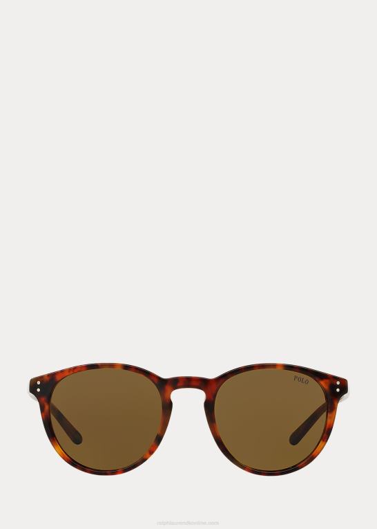 skinnende antik havana Mænd Ralph Lauren klassiske panto solbriller Z426B8793