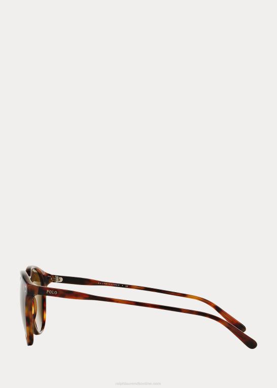 skinnende antik havana Mænd Ralph Lauren klassiske panto solbriller Z426B8793