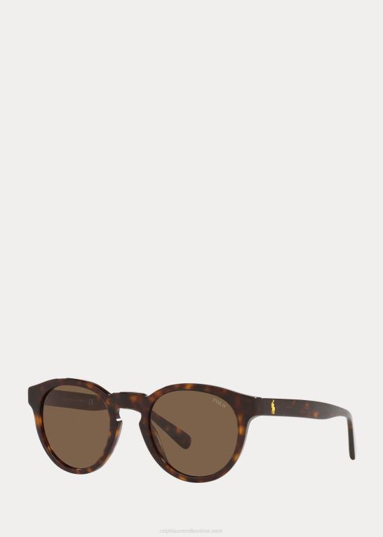 skinnende mørk havana Mænd Ralph Lauren color shop panto solbriller Z426B2623