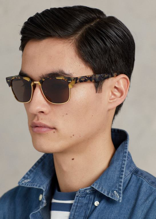 skinnende mørk havana Mænd Ralph Lauren firkantede akademi solbriller Z426B9061