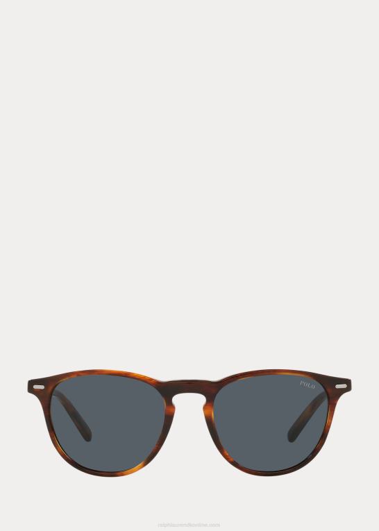 skinnende stribet havana Mænd Ralph Lauren panto solbriller Z426B2589