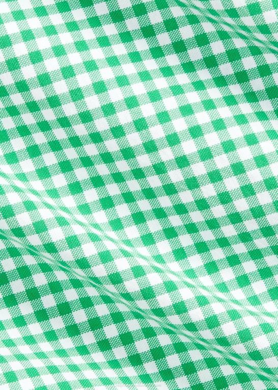 gingham funshirt Mænd Ralph Lauren klassisk fit gingham sjov skjorte Z426B894