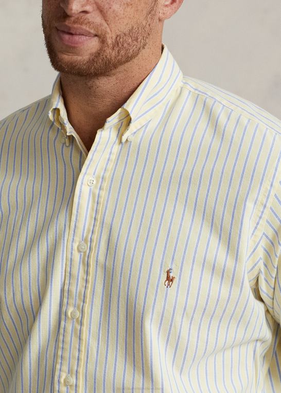gul/marine multi Mænd Ralph Lauren klassisk pasform oxford skjorte Z426B1599