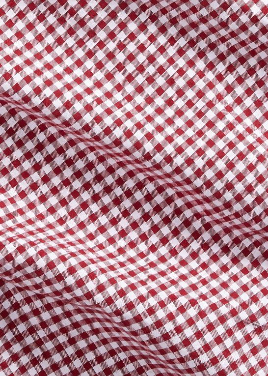 vin/hvid Mænd Ralph Lauren klassisk fit gingham oxford skjorte Z426B1112