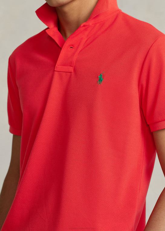 tomat Mænd Ralph Lauren jordpoloen Z426B990