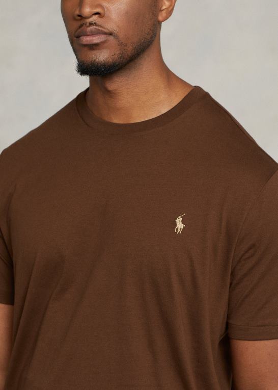 gren brun Mænd Ralph Lauren jersey t-shirt med rund hals Z426B8709