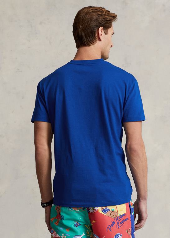 safir stjerne Mænd Ralph Lauren klassisk pasform jersey t-shirt med v-hals Z426B202
